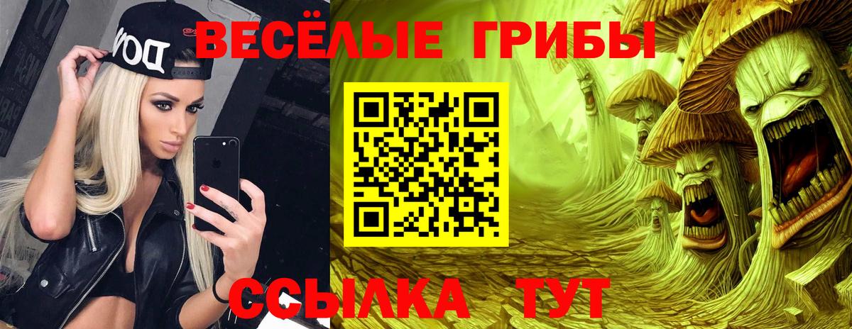 продажа наркотиков  Псилоцибиновые грибы Cubensis  Вход с VPN  Славянск-на-Кубани 